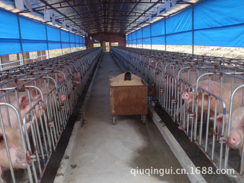 养猪设备批发