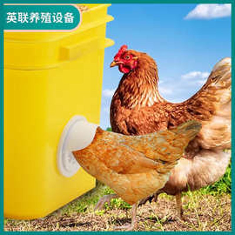 鸡用喂料器